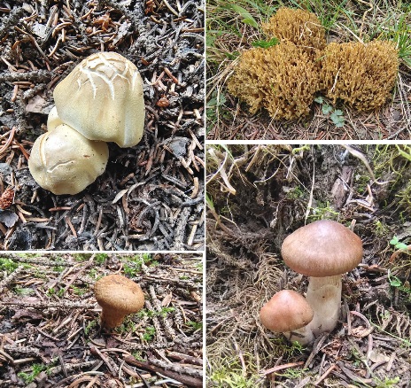 a0705e0b1e084a1aa7d22f1f5277adf5.jpg a0705e0b1e084a1aa7d22f1f5277adf5.jpg